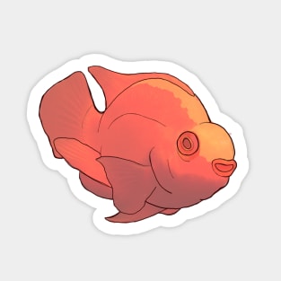 Blood Parrot Cichlid Sticker